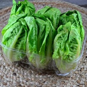 Little Gem Lettuce